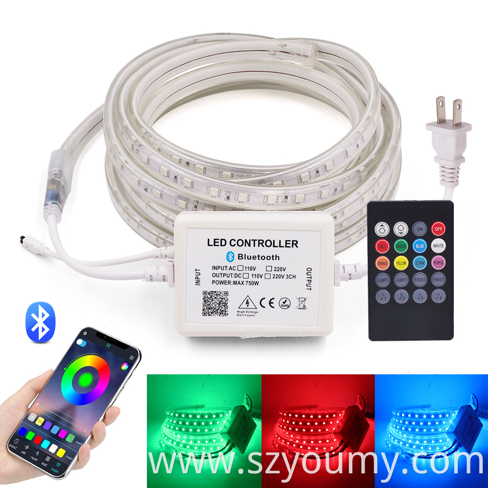 110v Led Strip 1